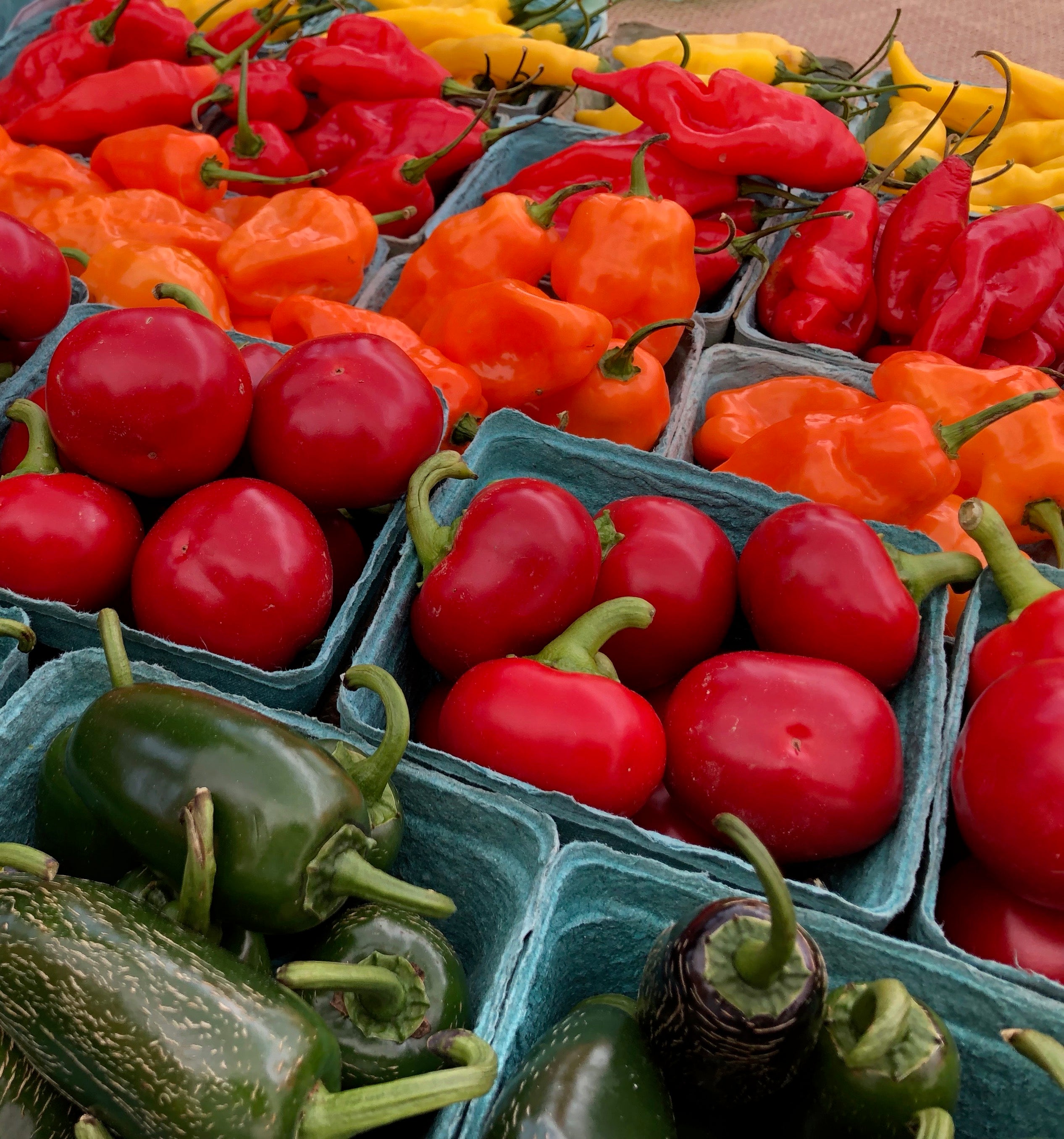 Organic Dried Peppers Quill Hill Farm
