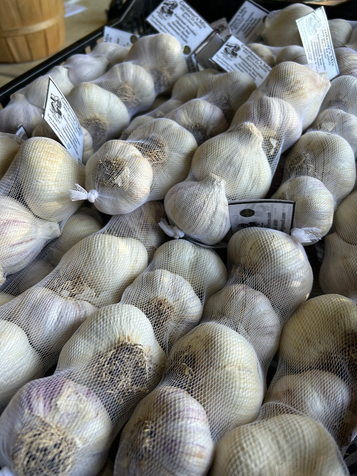Seed Garlic Mix- Certified Organic