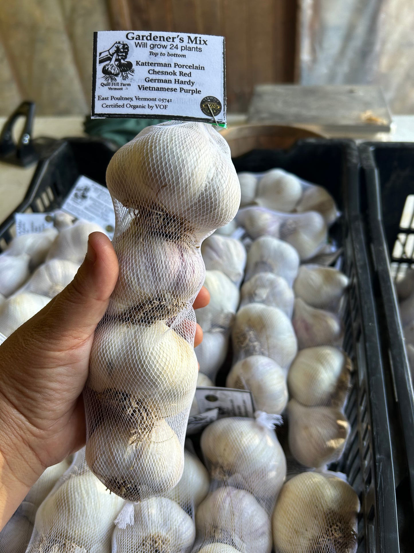Seed Garlic Mix- Certified Organic