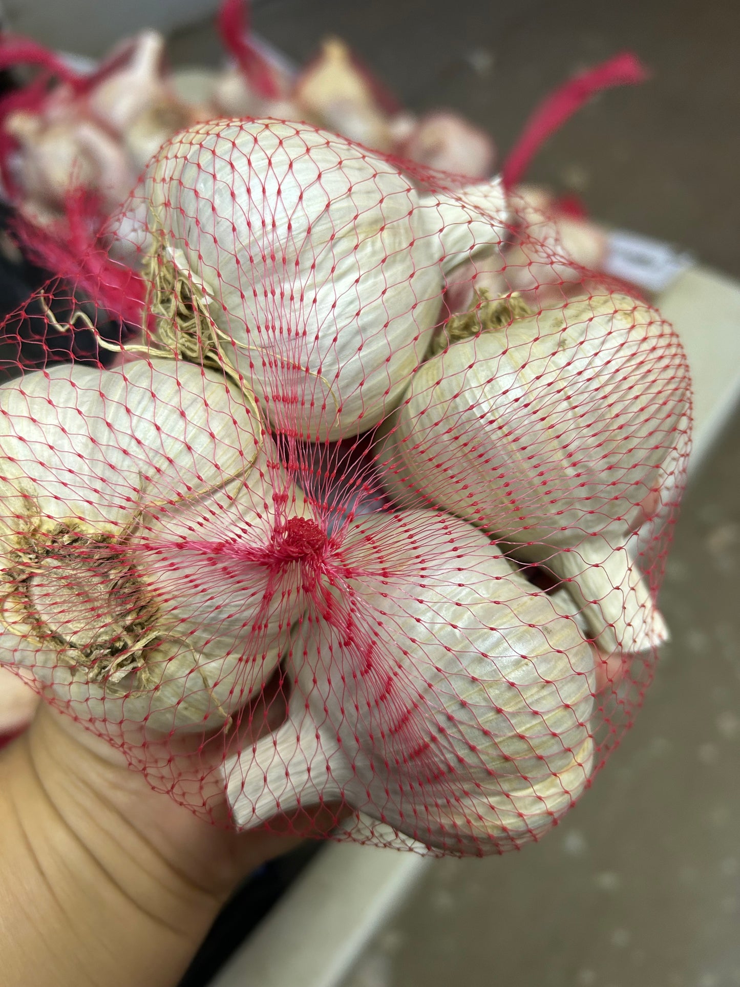 Katterman Porcelain Garlic- Certified Organic