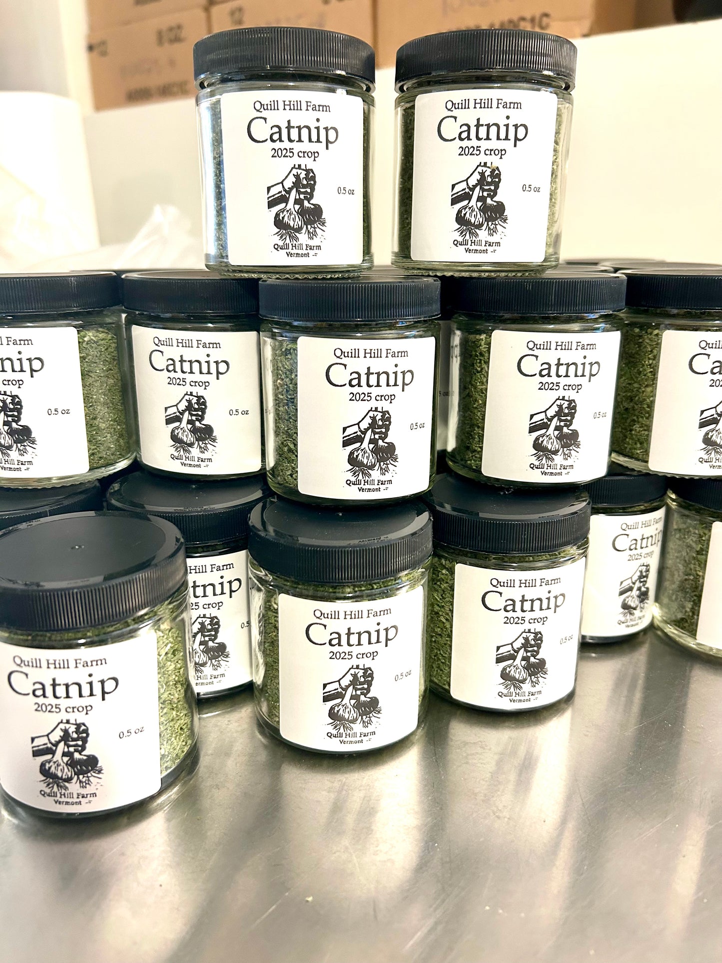 Lazy Farm Cat Catnip
