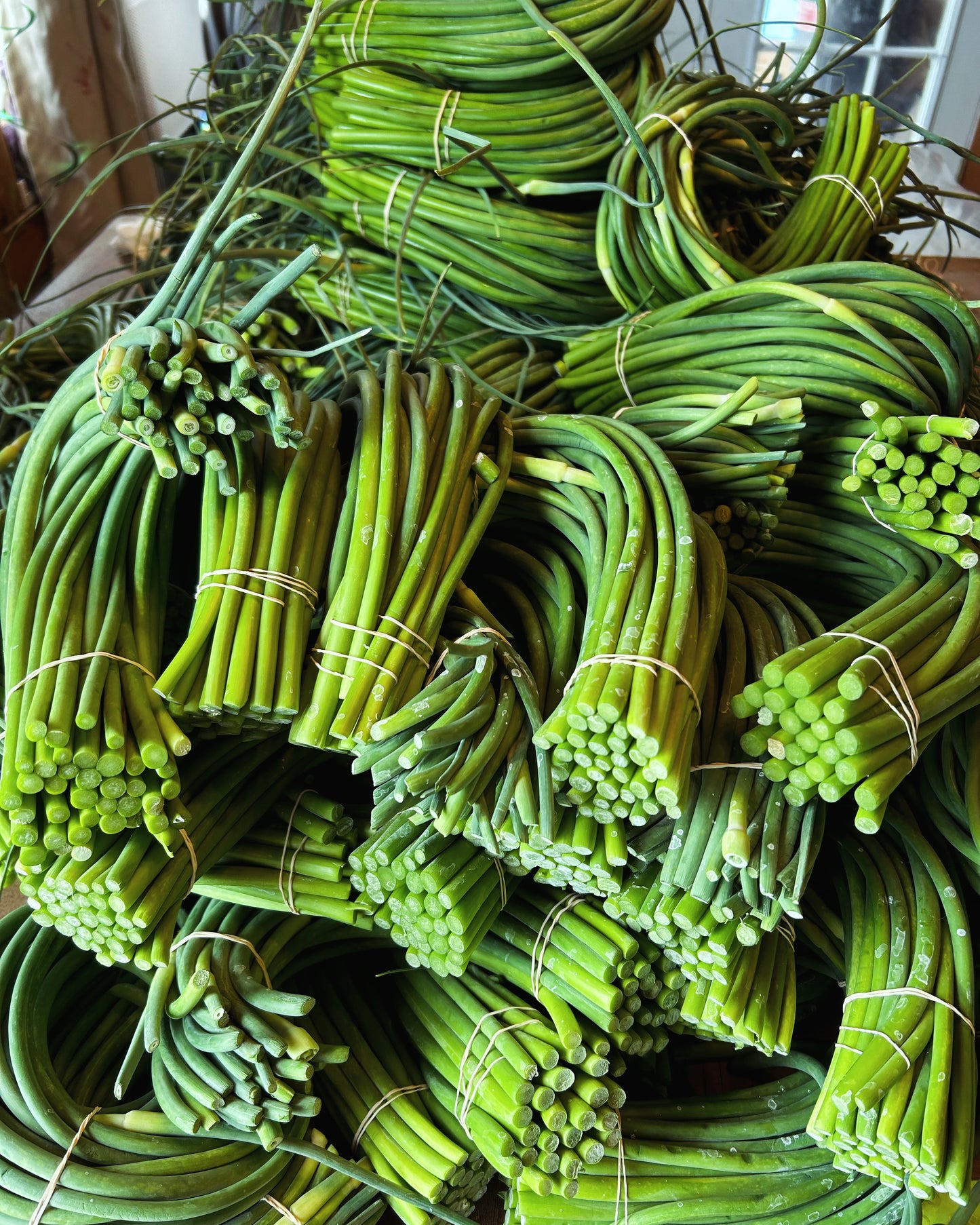 Spicy Garlic Scape Pickles