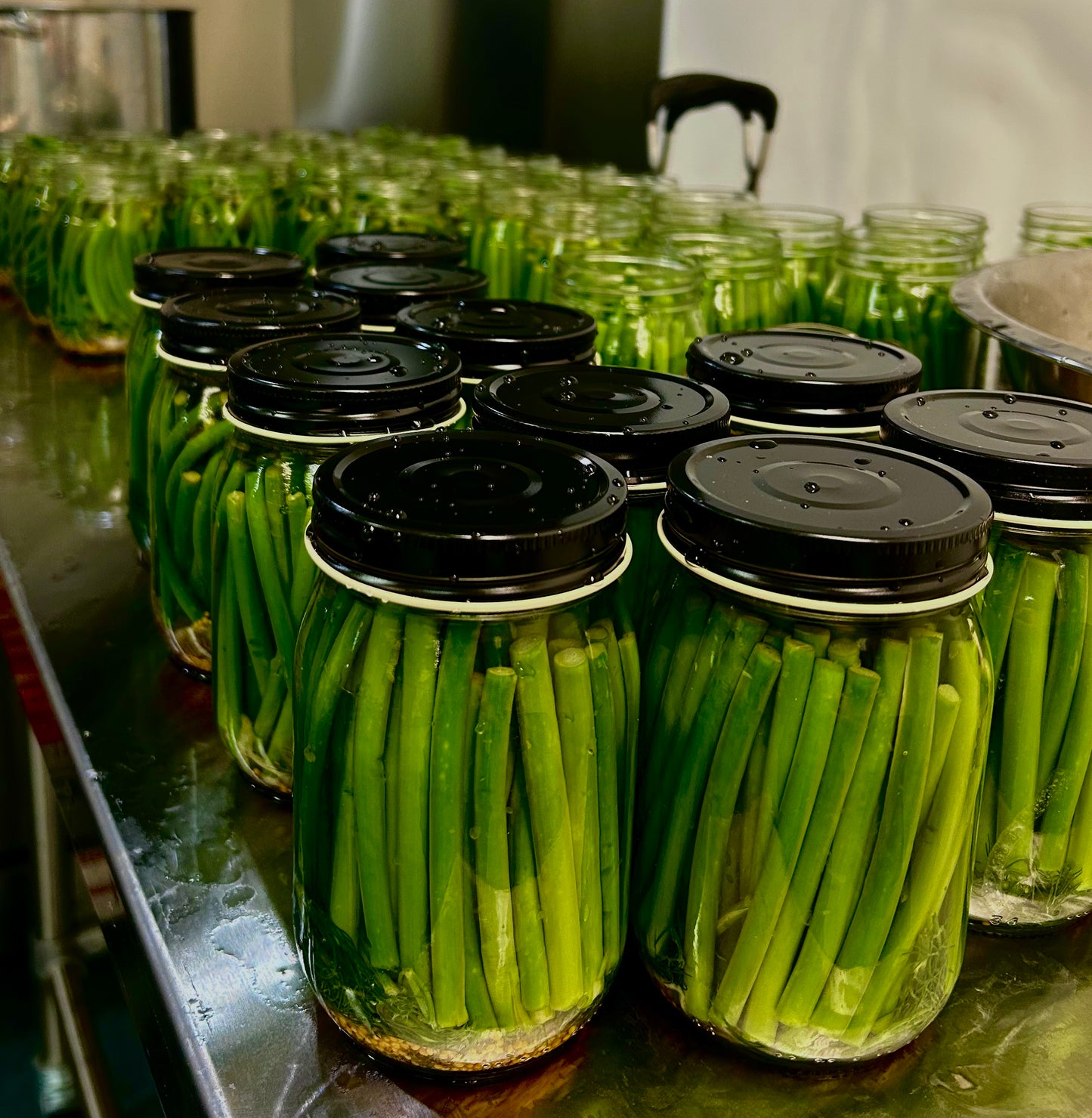 Spicy Garlic Scape Pickles