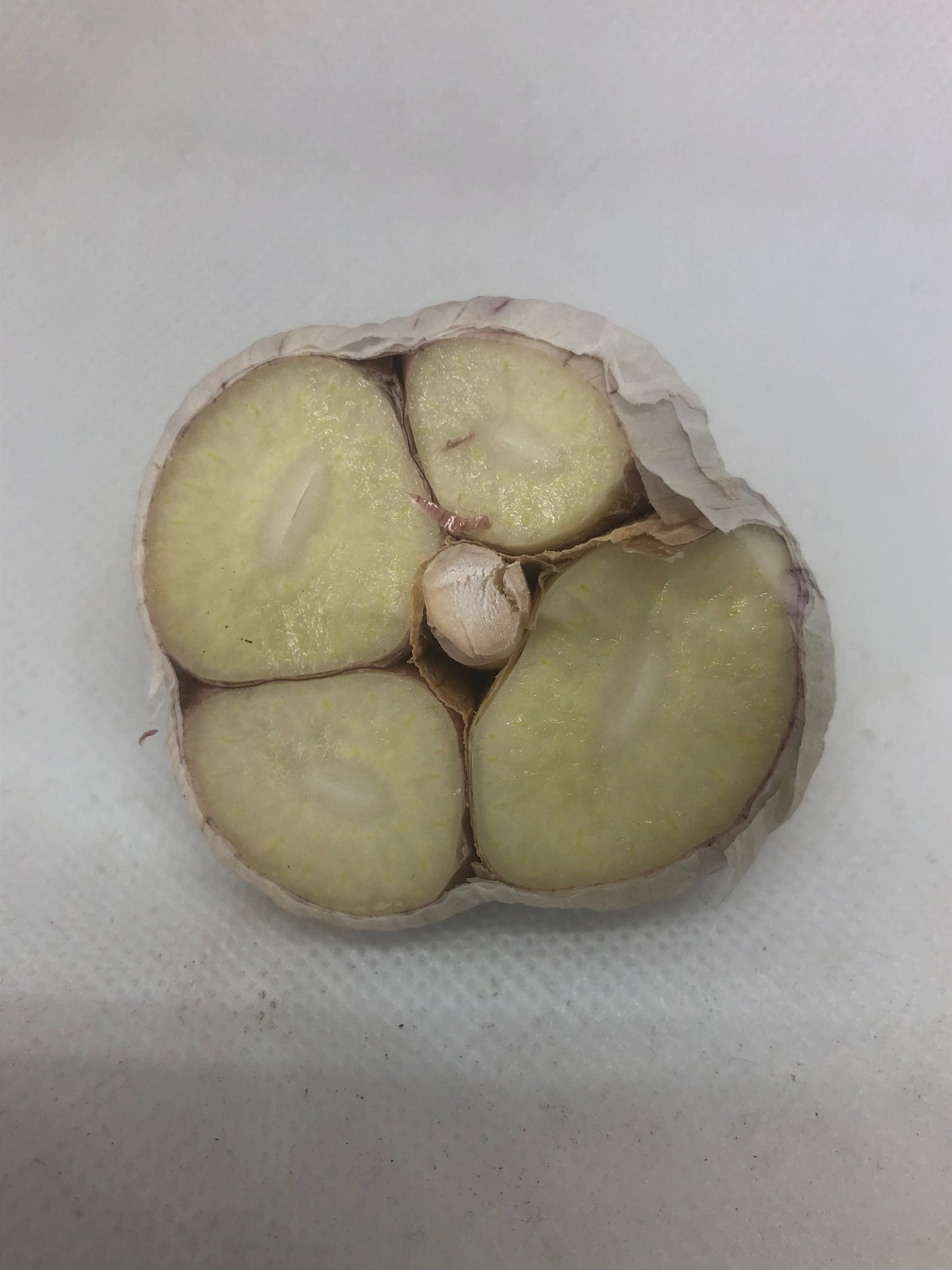Katterman Porcelain Garlic- Certified Organic