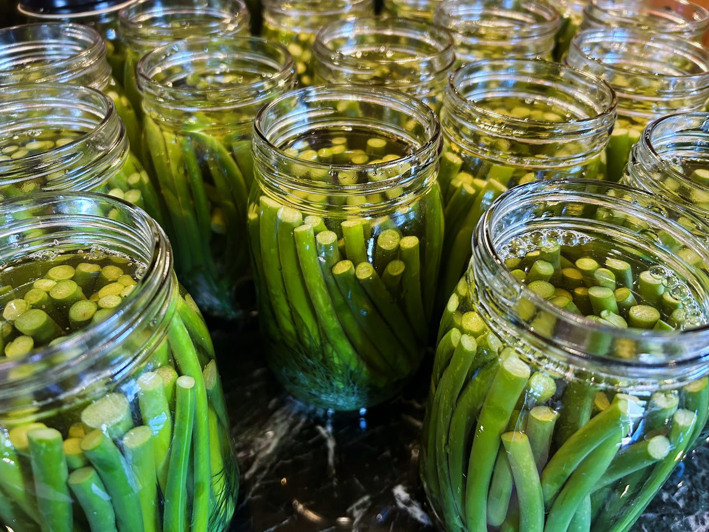 Spicy Garlic Scape Pickles