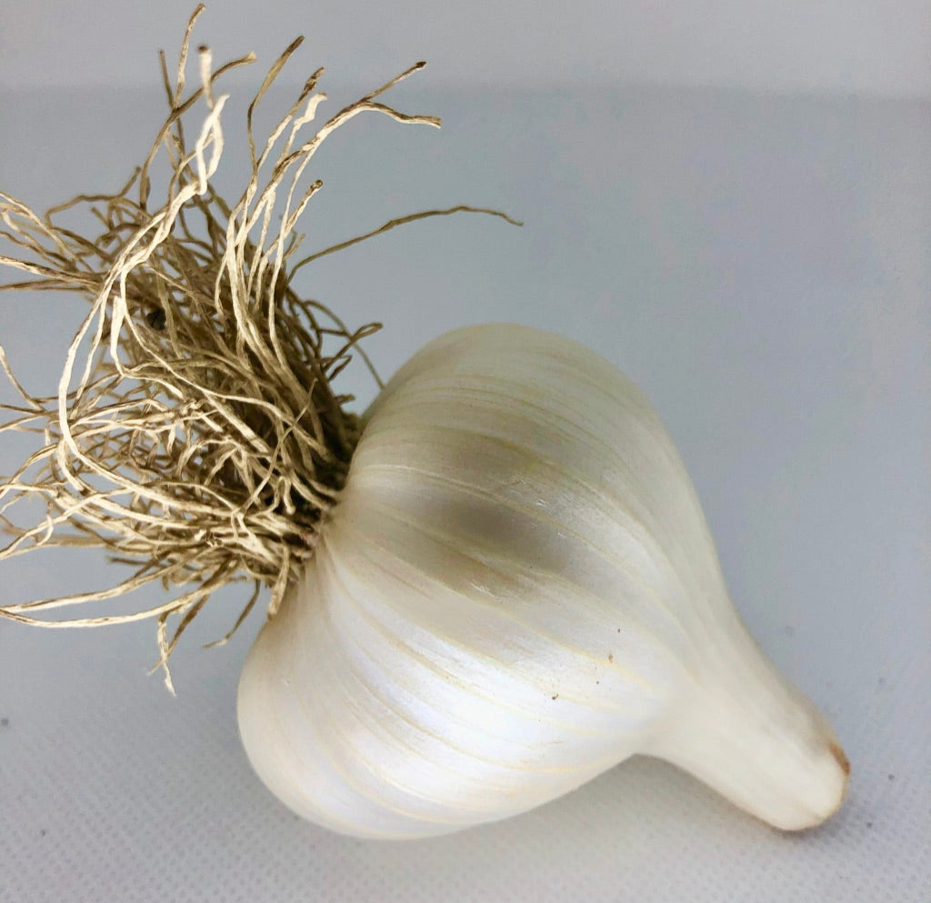 Chesnok Red Purple Stripe Garlic- Certified Organic