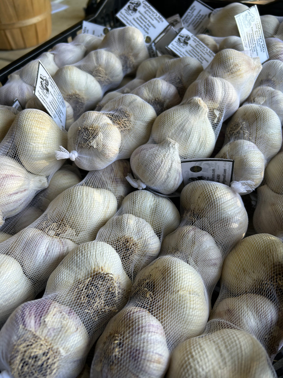 Seed Garlic Mix- Certified Organic