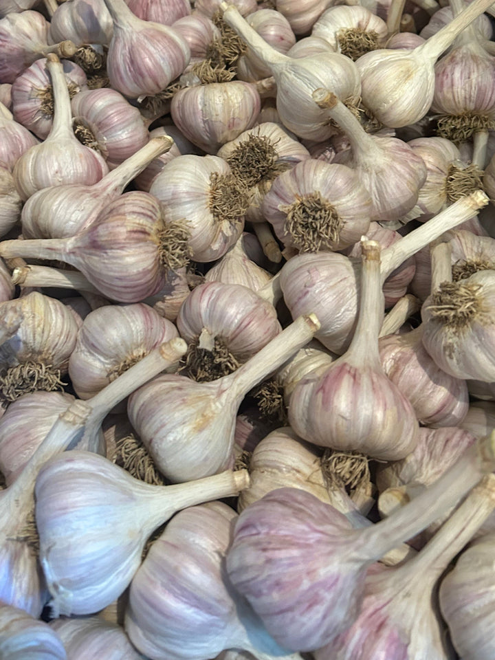 Pehoski Purple- Certified Organic
