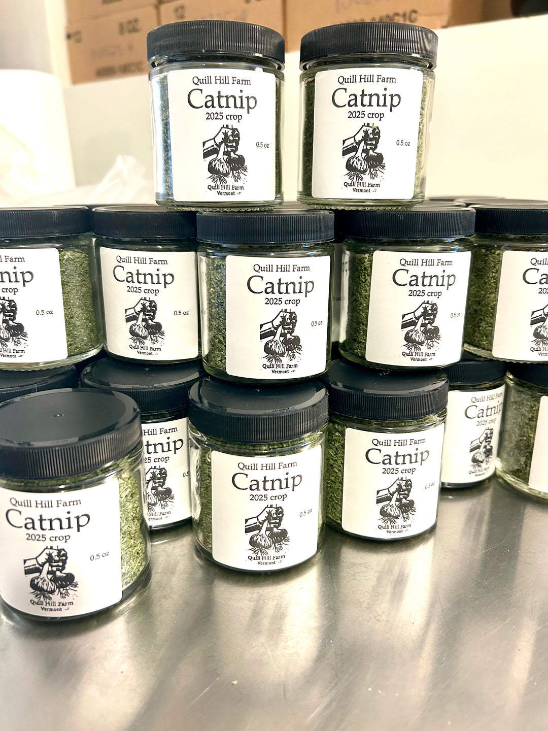 Lazy Farm Cat Catnip