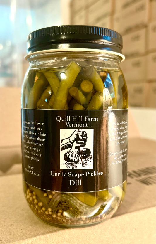 Dill Garlic Scape Pickles