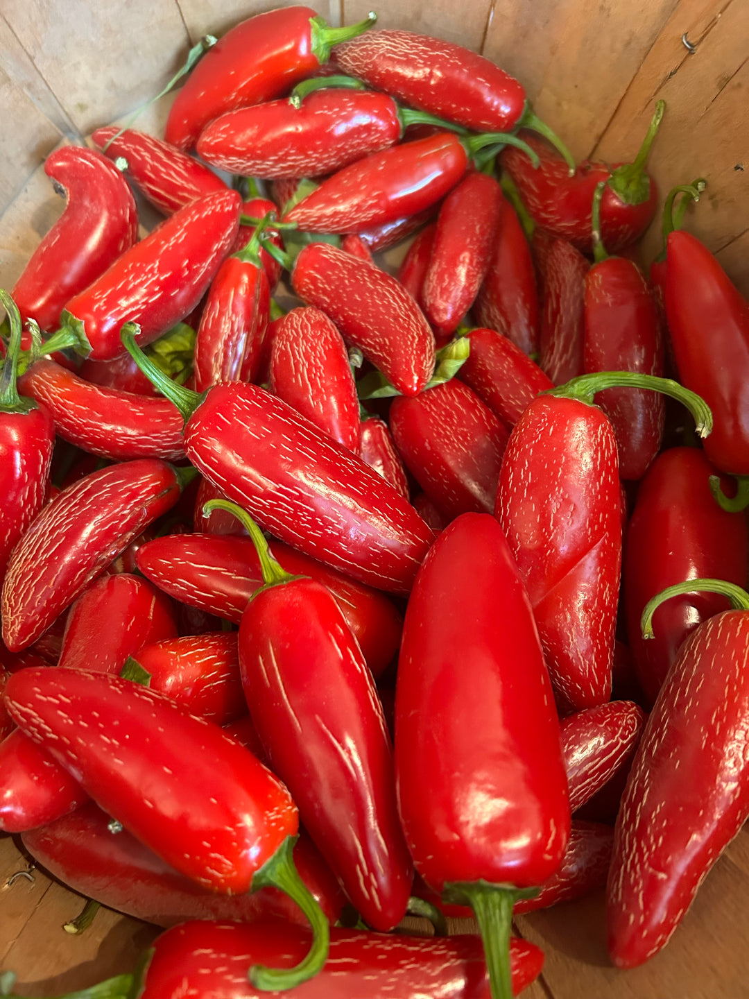 Chipotle Peppers