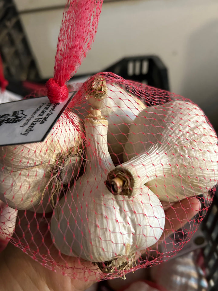 German Hardy Porcelain Garlic- Certified Organic
