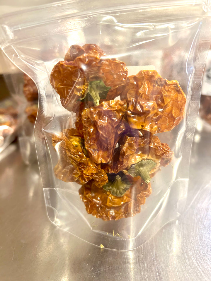 Scotch Bonnets- Certified Organic