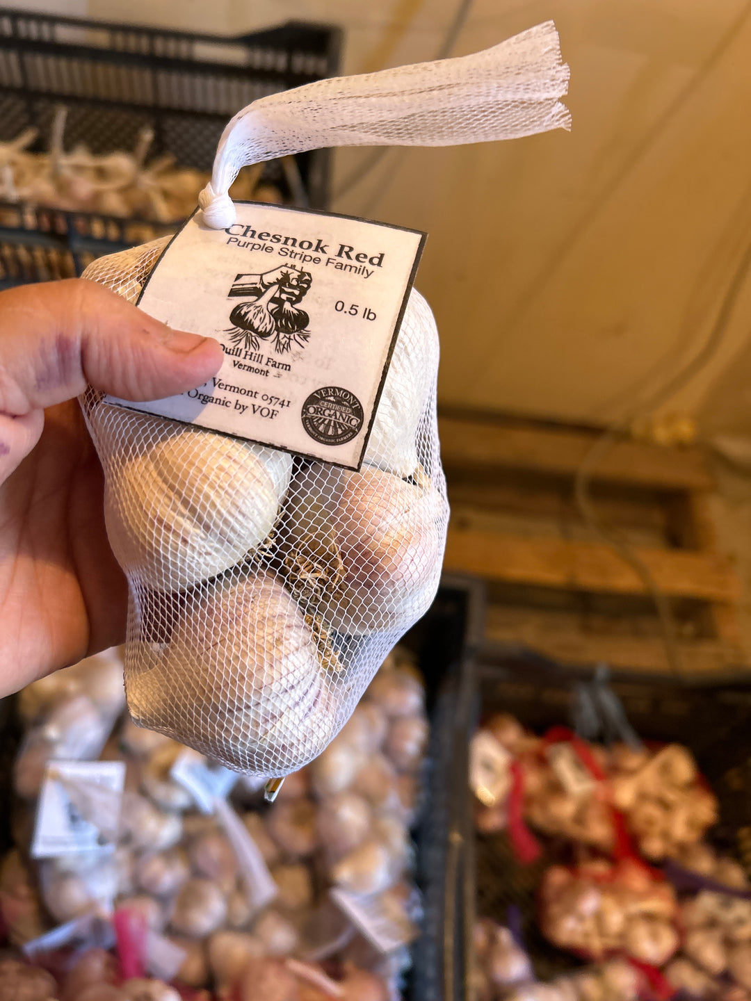 Chesnok Red Garlic- Certified Organic