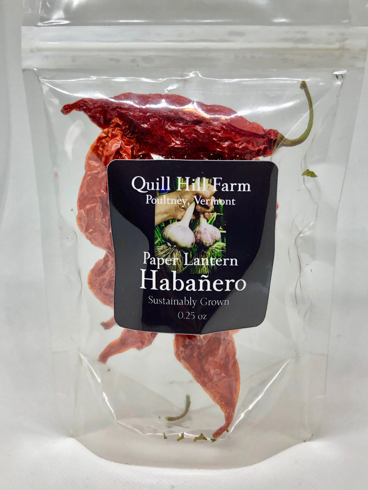 Paper Lantern Habanero- certified Organic
